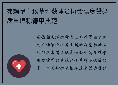 弗赖堡主场草坪获球员协会高度赞誉质量堪称德甲典范